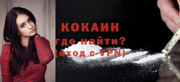 шишки Нягань