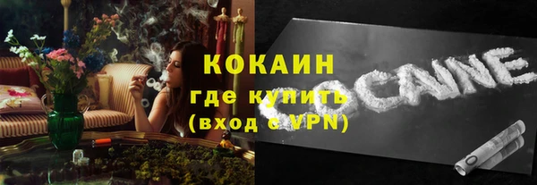 винт Няндома