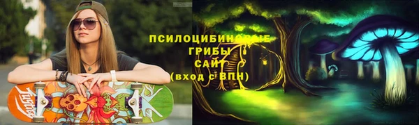 винт Няндома