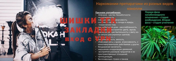 винт Няндома