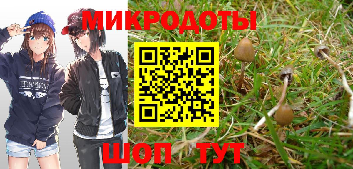 Галлюциногенные грибы GOLDEN TEACHER  Вход с VPN  Сатка 