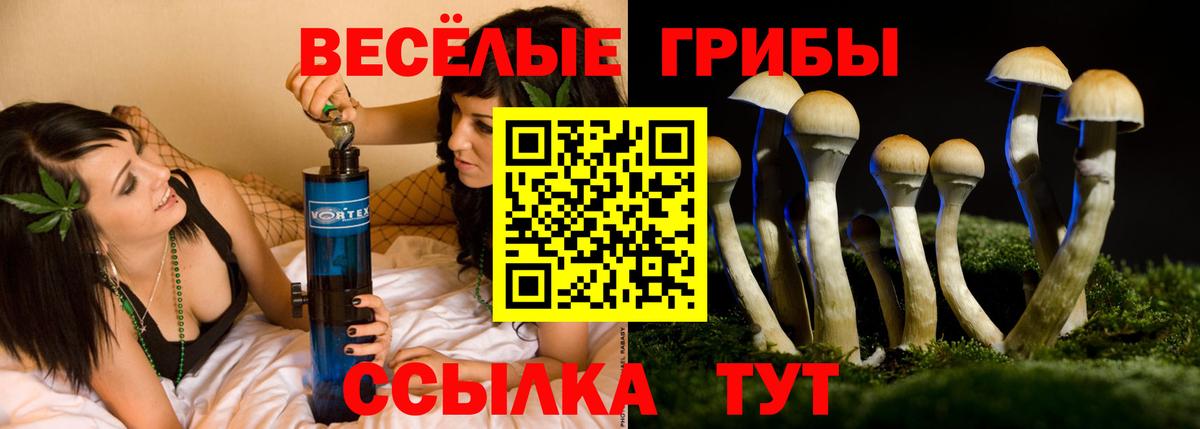 Псилоцибиновые грибы Magic Shrooms Сатка